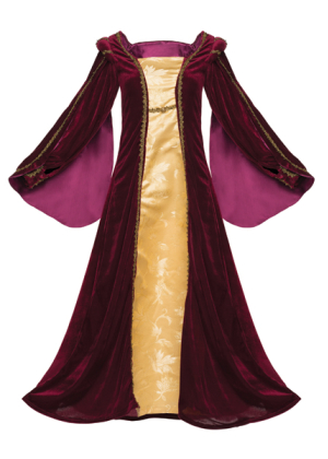 Tudor Velvet Gown